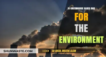 Are Greenhouse Gases Harming Our Environment? A Critical Analysis