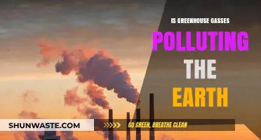 Greenhouse Gasses: Polluting Our Planet?