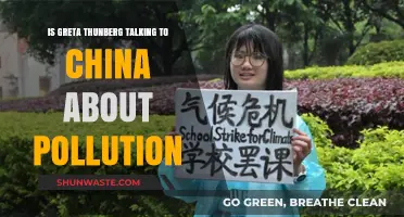 Greta Thunberg's Plea to China: Will It Work?