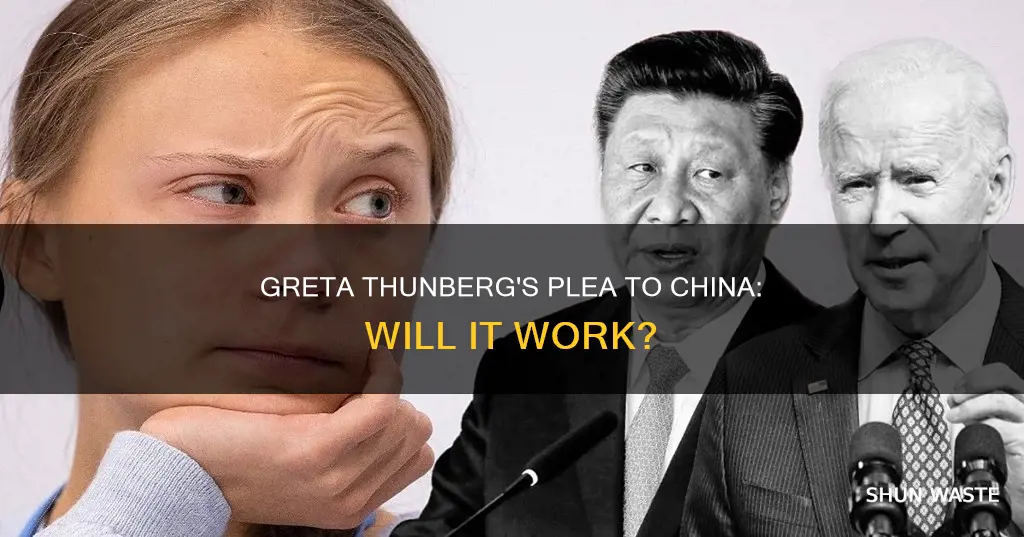 is greta thunberg talking to china about pollution