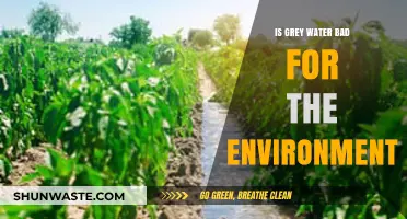 Is Grey Water Harmful? Environmental Impacts and Sustainable Solutions