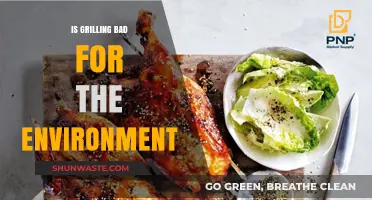 Grilling's Environmental Impact: Sustainable Practices for Eco-Friendly BBQs