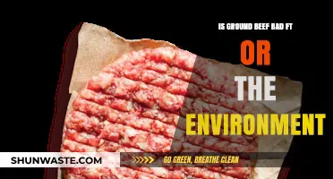 Ground Beef's Environmental Impact: Sustainable or Harmful Choice?