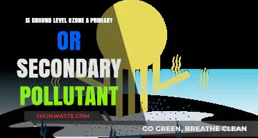 Ozone: Primary or Secondary Pollutant?