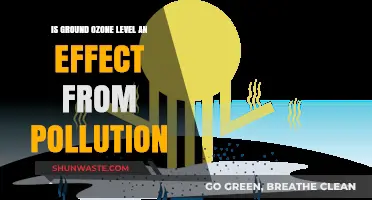 Ozone at Ground Level: Pollution's Impact on Air Quality