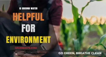 Groundwater's Role: Environmental Benefits and Sustainable Management Explained