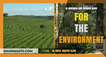 Grounds & Hounds: Eco-Friendly Coffee Impact on Environment and Wildlife