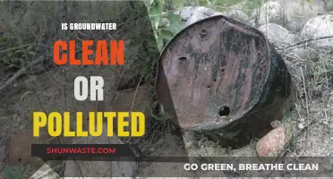 Groundwater: Pure or Polluted?