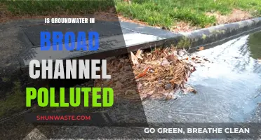 Broad Channel's Groundwater: Polluted or Pristine?