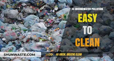 Groundwater Pollution: Easy Cleanup or Complex Challenge?