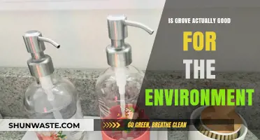 Is Grove Eco-Friendly? Uncovering the Environmental Impact of Grove Products
