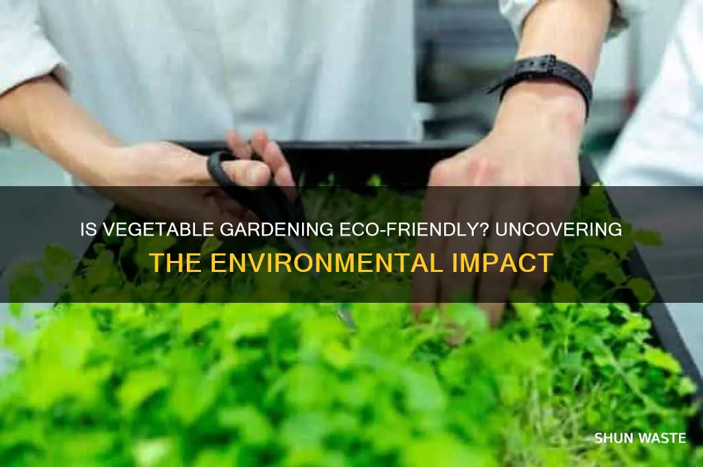 is growing vegetables bad for the environment