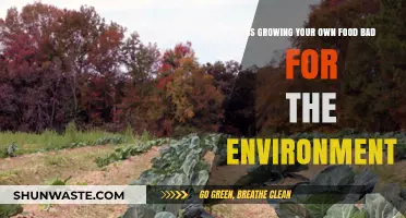 Is Homegrown Food Eco-Friendly? Uncovering the Environmental Impact of Gardening