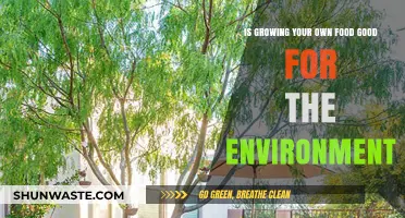 Eco-Friendly Gardening: How Growing Your Own Food Benefits the Planet