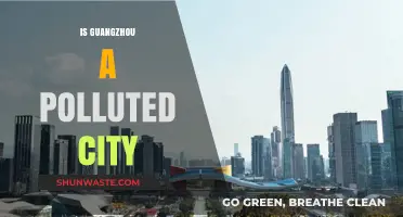 Guangzhou's Pollution Problem: A City's Battle