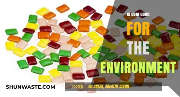 Chewing Gum's Eco-Impact: Sustainable or Harmful to Our Planet?