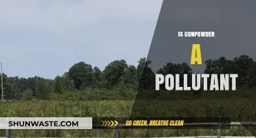 Gunpowder's Environmental Impact: Is It a Pollutant?