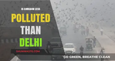 Gurgaon vs Delhi: Pollution Comparison