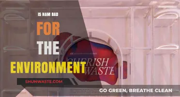 Is H&M Harming Our Planet? Uncovering Its Environmental Impact