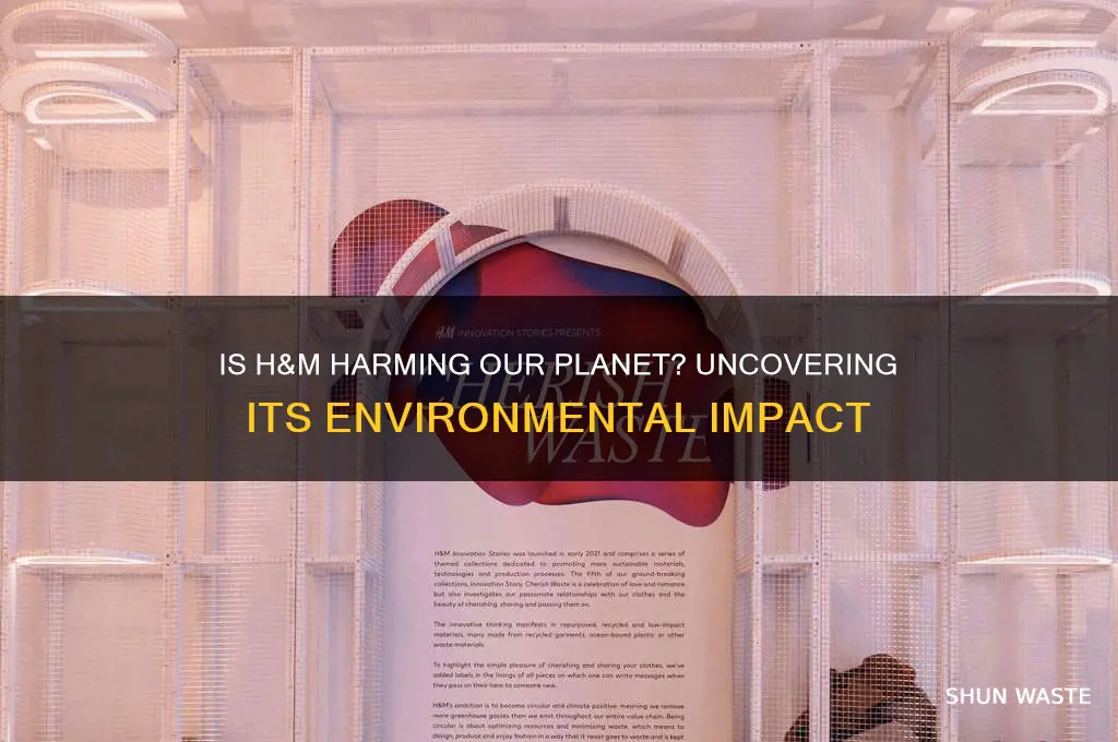 is h&m bad for the environment