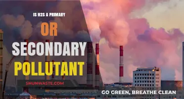H2S: Primary or Secondary Pollutant?
