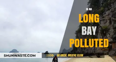Ha Long Bay: Pristine or Polluted Paradise?