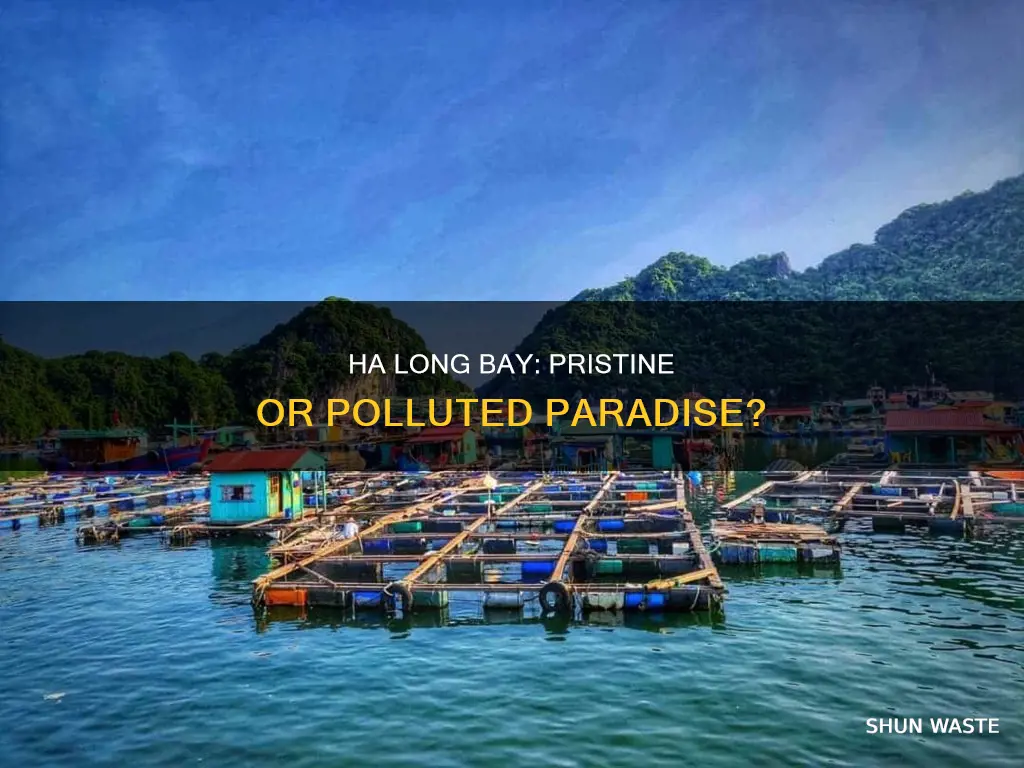 is ha long bay polluted