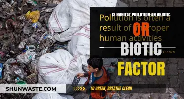 How Habitat Pollution Affects Biotic and Abiotic Factors