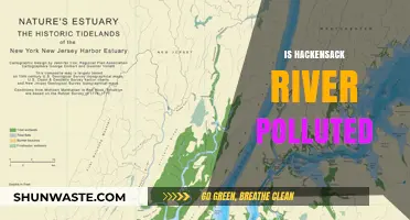 The Hackensack River: A Polluted Waterway?