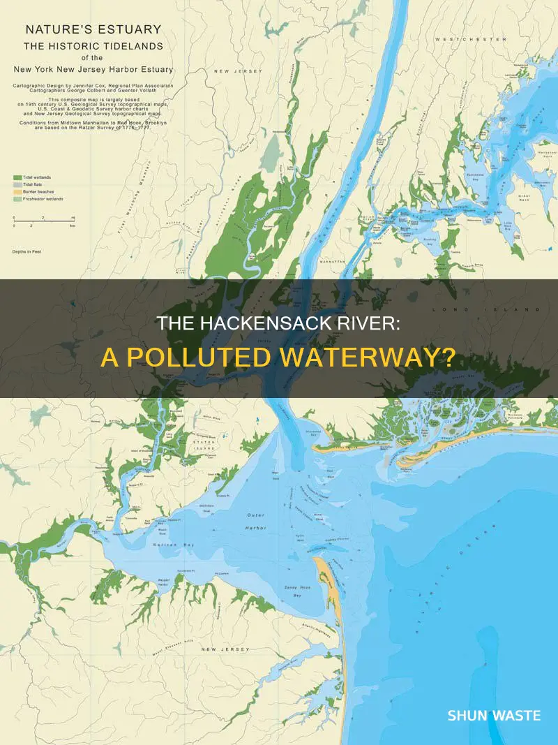 is hackensack river polluted