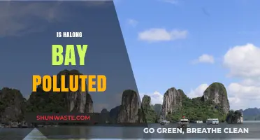 Halong Bay: A Polluted Paradise?