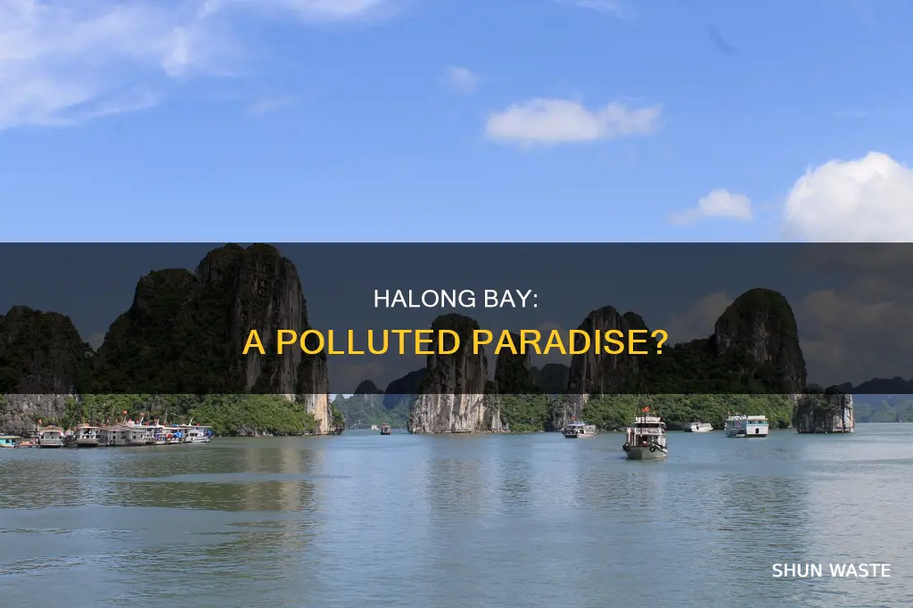 is halong bay polluted
