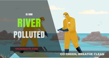 The Han River Pollution Problem: Is It Getting Worse?