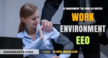 Harassment vs. Hostile Work Environment: Understanding EEOC Legal Differences