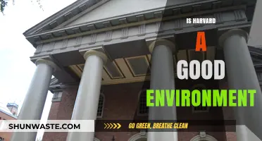 Is Harvard a Good Environment? Exploring Campus Culture and Student Life