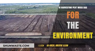 Harvesting Peat Moss: Environmental Impact and Sustainable Alternatives Explored