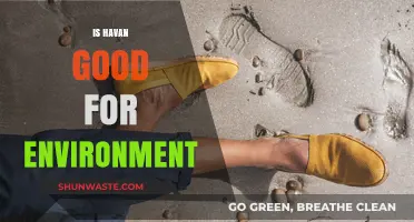 Havan's Environmental Impact: A Sustainable Practice or Harmful Ritual?