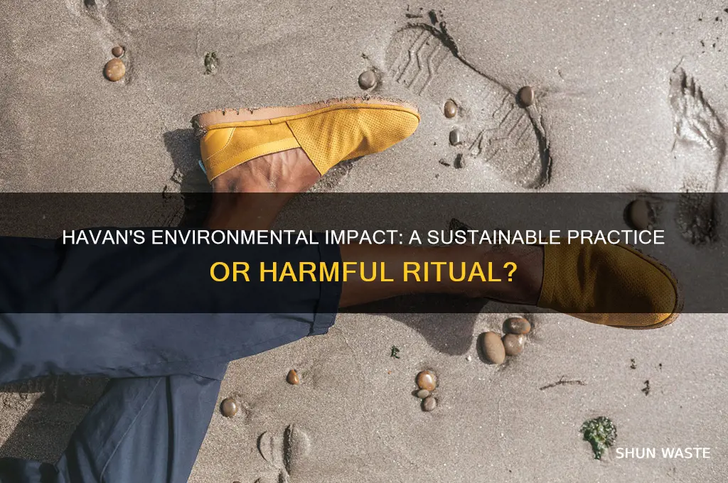 is havan good for environment