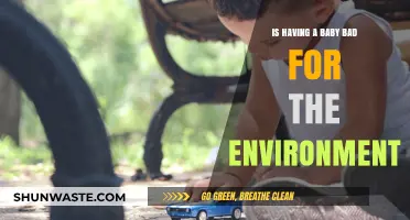 Is Having a Baby Bad for the Environment? Exploring the Impact