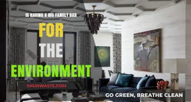 Big Families, Bigger Impact: Environmental Consequences of Large Households