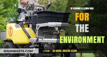 Is Your Lawn Eco-Friendly? Environmental Impact of Grass Yards