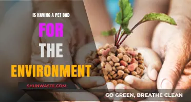 Pets and the Planet: Uncovering the Environmental Impact of Pet Ownership