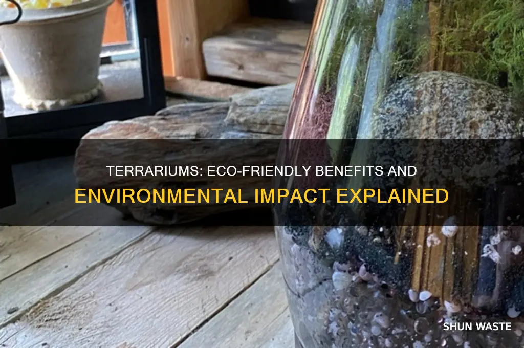 is having a terrarium good for the environment