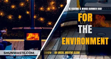 Wood Burners and the Environment: Are They Eco-Friendly or Harmful?