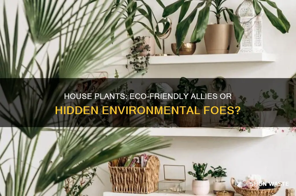 is having house plants good or bad for the environment