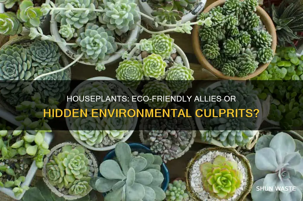 is having houseplants good or bad for the environment