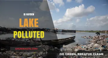 Hayden Lake's Pollution Problem: Is It Getting Worse?