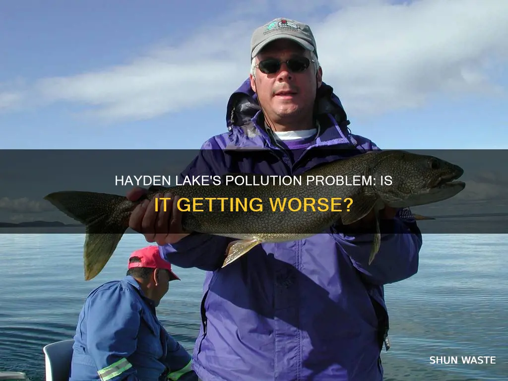 is hayden lake polluted
