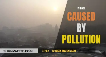 Haze's Hidden Cause: Unveiling the Pollution Connection