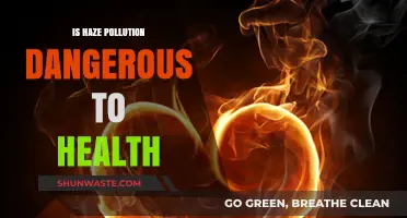 Haze Pollution: A Dangerous, Invisible Health Threat